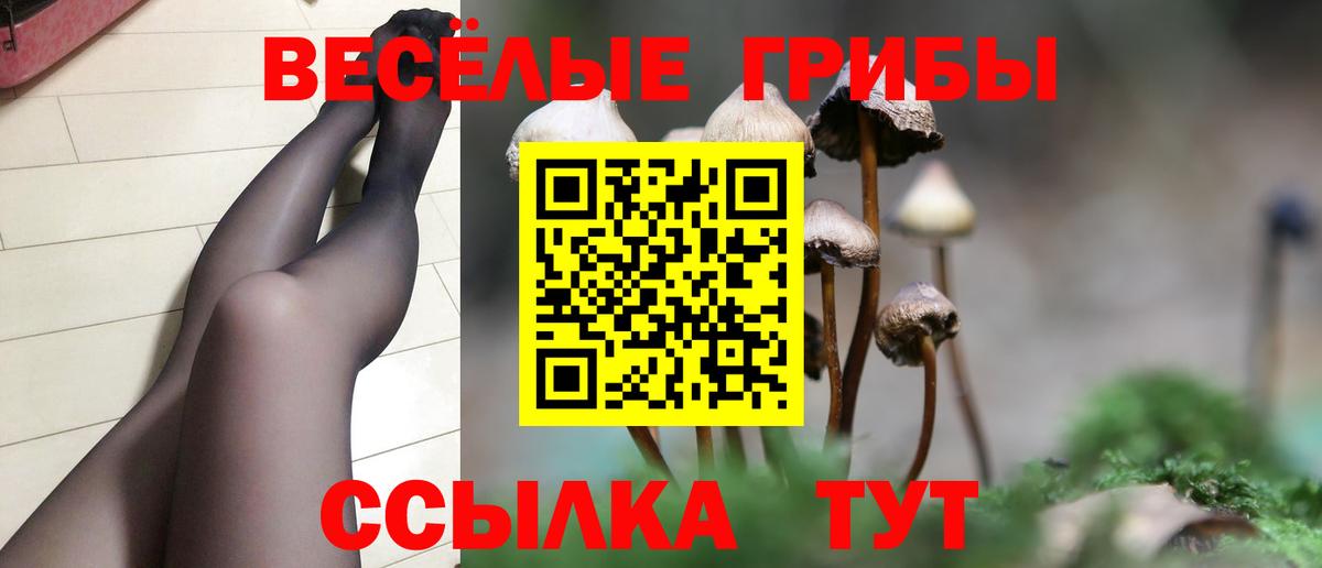 Сегежа  Псилоцибиновые грибы мицелий  Вход с VPN  Галлюциногенные грибы MAGIC MUSHROOMS 